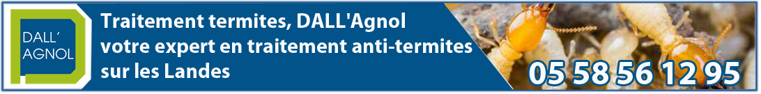 Dall'Agnol traitement termites PUB
