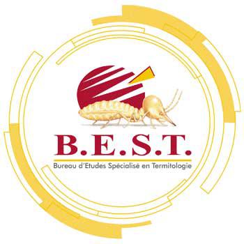 Best Termites Agen, pont-du-casse, Estillac, Barbaste, Nérac..