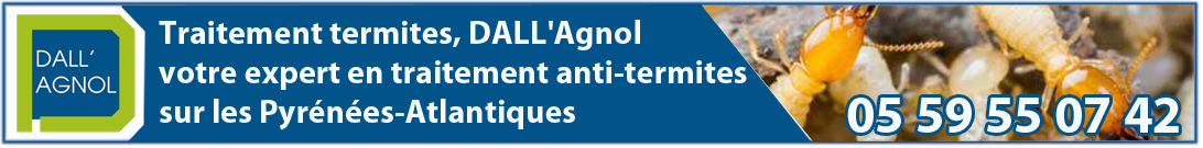 Dall'Agnol traitement termites PUB