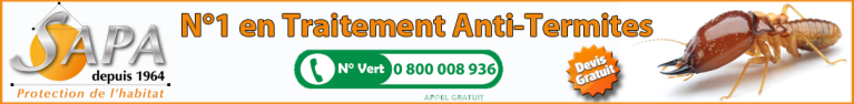 PUB SAPA Traitement Termites